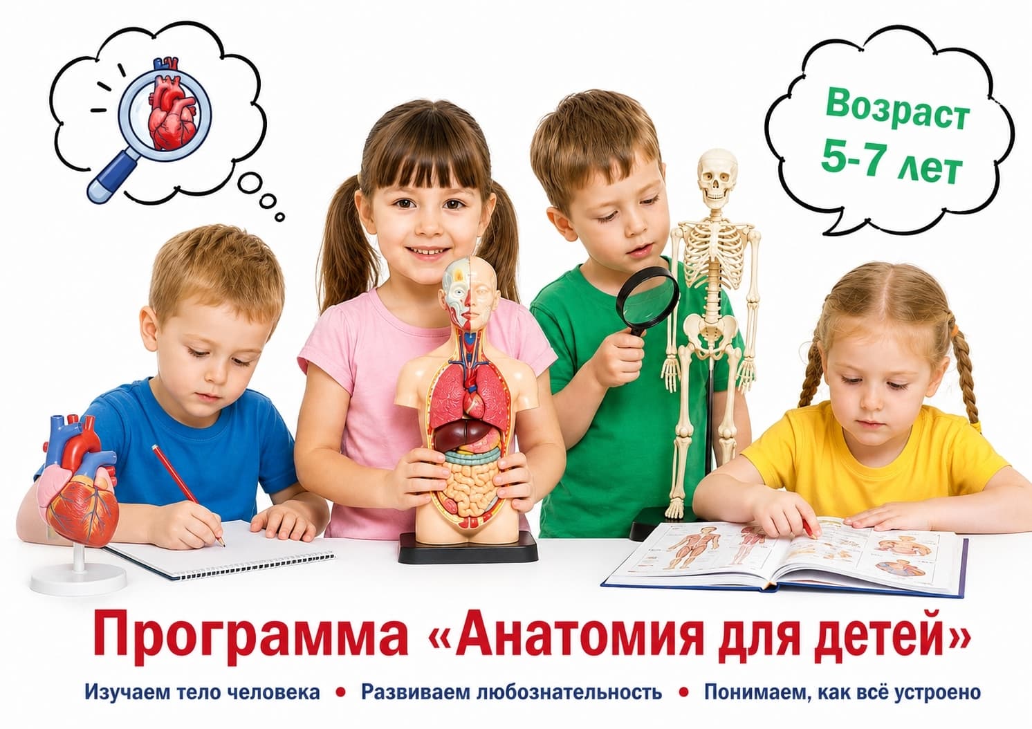 Анатомия детям